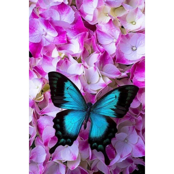 DIY Diamond Painting - Dieren PIX-2349