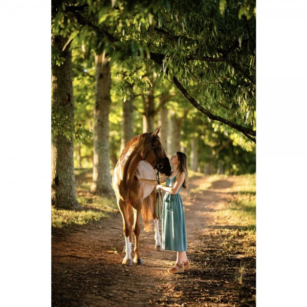 DIY Diamant Schilderij - Fantasie PIX-2091