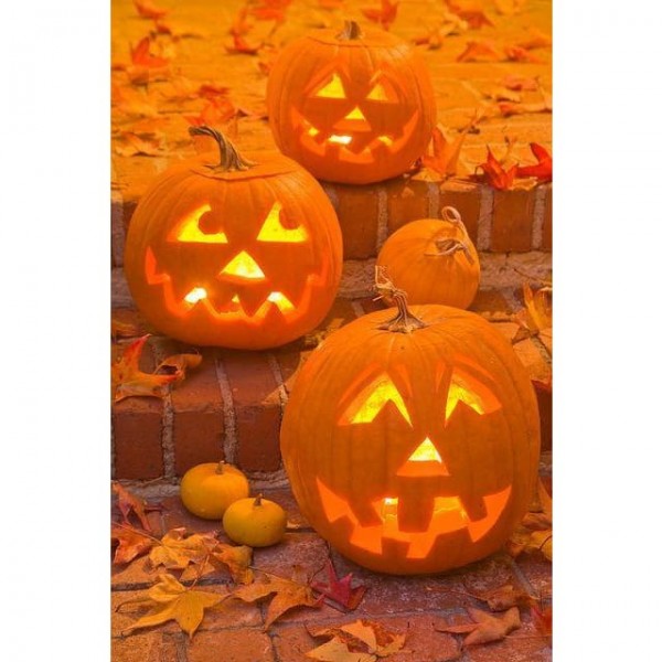 DIY diamant schilderij - Thanksgiving Day & Halloween PIX-3370