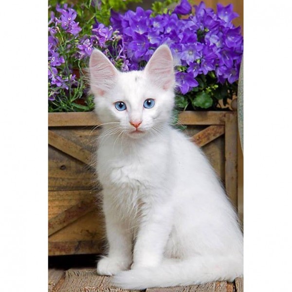 DIY Diamond Painting - Dieren PIX-2416