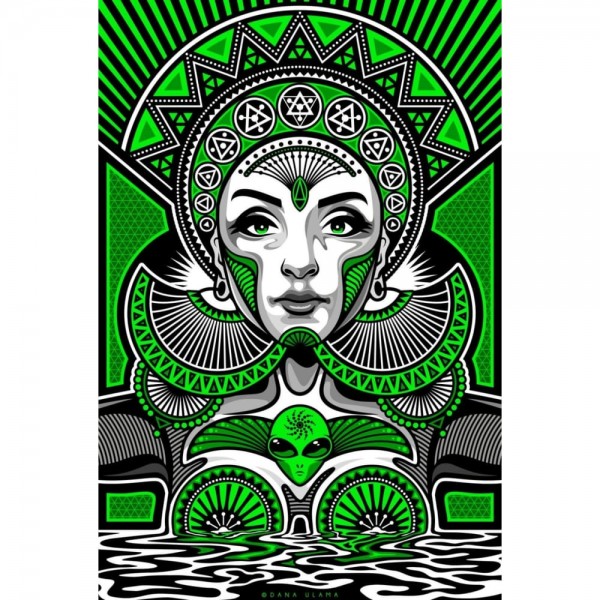 DIY Diamant Schilderij - Fantasie PIX-2088