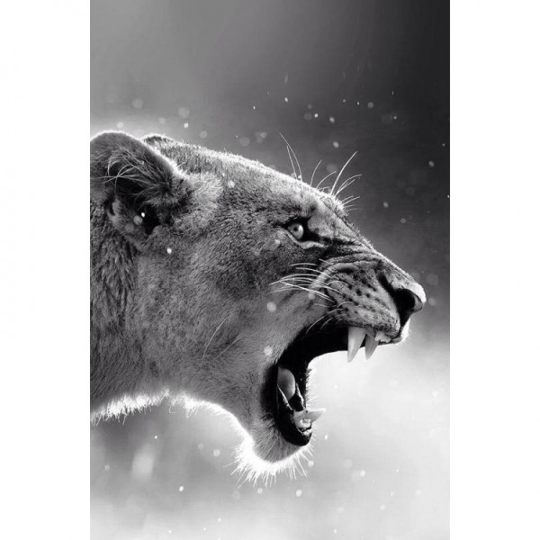 DIY Diamond Painting - Dieren PIX-2504