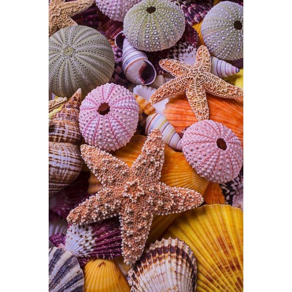 DIY Diamond Painting - Dieren PIX-2470