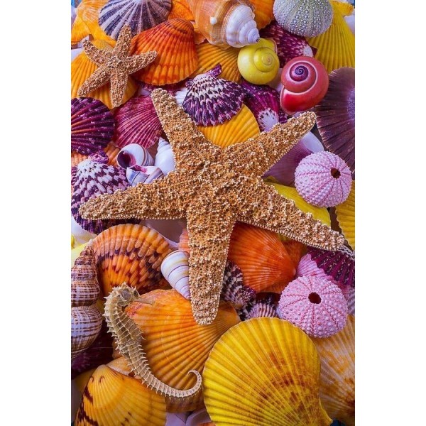 DIY Diamant Schilderij - Dieren PIX-2502