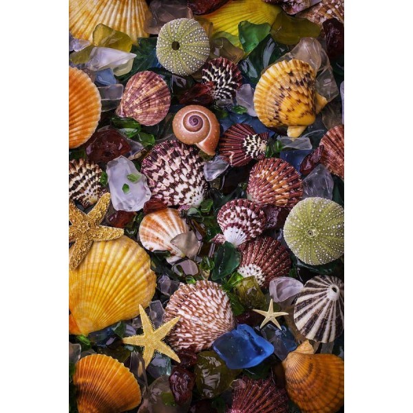 DIY diamant schilderij - Dieren PIX-2462