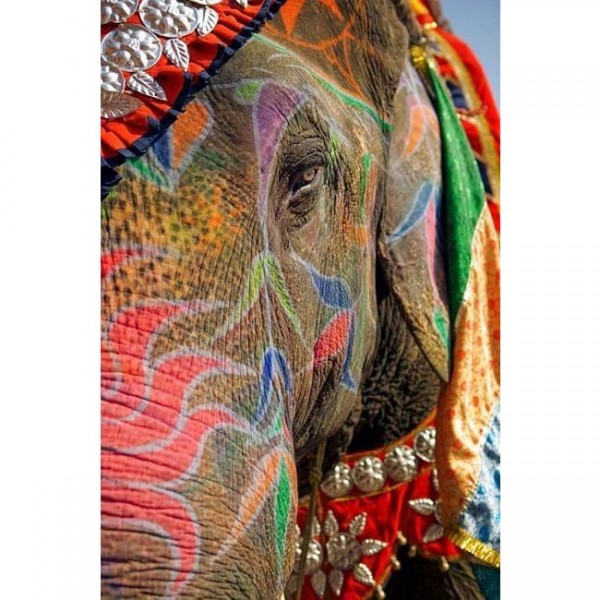 DIY Diamond Painting - Dieren PIX-2311