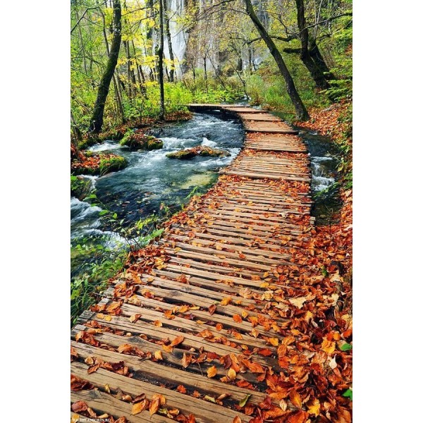 DIY Diamond Painting - Thanksgiving Day & Halloween PIX-3377