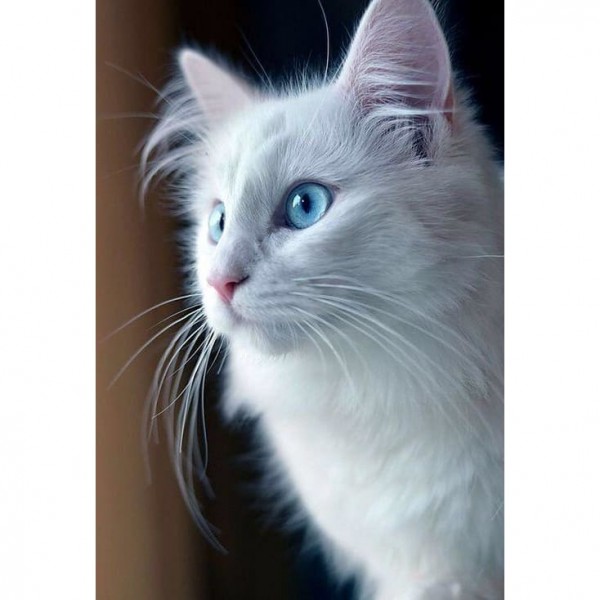 DIY Diamond Painting - Dieren PIX-2384