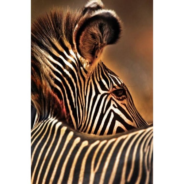 DIY Diamond Painting - Dieren PIX-2305