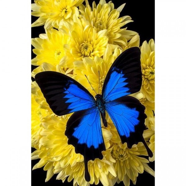 DIY Diamond Painting - Dieren PIX-2283