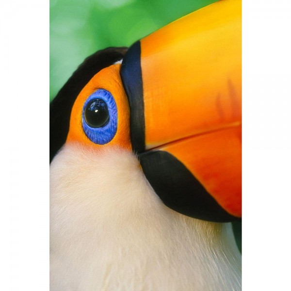 DIY Diamond Painting - Dieren PIX-2509