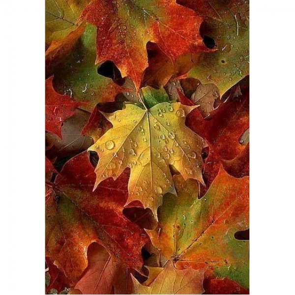 DIY Diamond Painting - Thanksgiving Day & Halloween PIX-3304