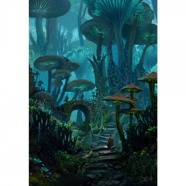 DIY Diamant Schilderij - Fantasie PIX-2090