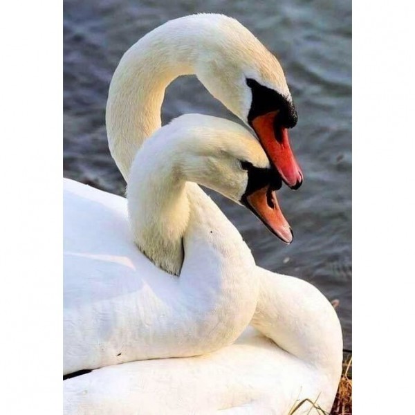 DIY Diamond Painting - Dieren PIX-2375