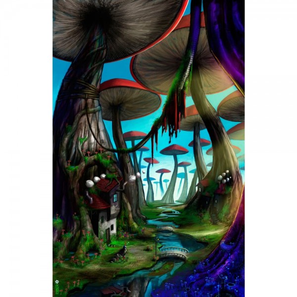 DIY Diamant Schilderij - Fantasie PIX-2056