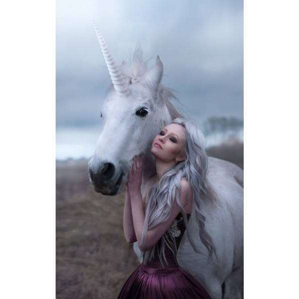 DIY Diamant Schilderij - Fantasie PIX-1864