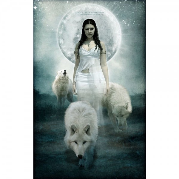 DIY Diamant Schilderij - Fantasie PIX-1985