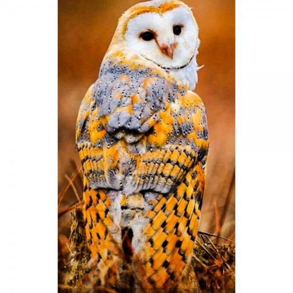 DIY Diamond Painting - Dieren PIX-2475