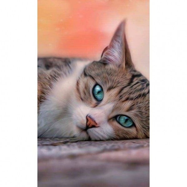 DIY Diamond Painting - Dieren PIX-2367