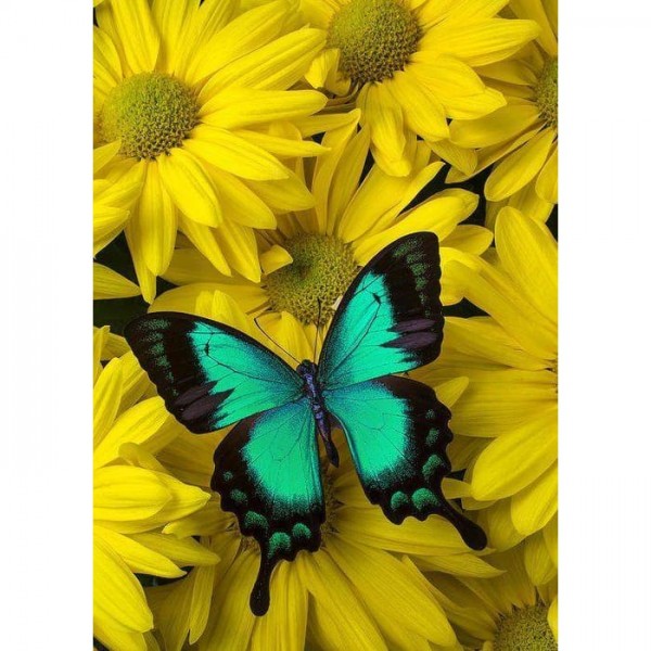 DIY Diamond Painting - Dieren PIX-2319