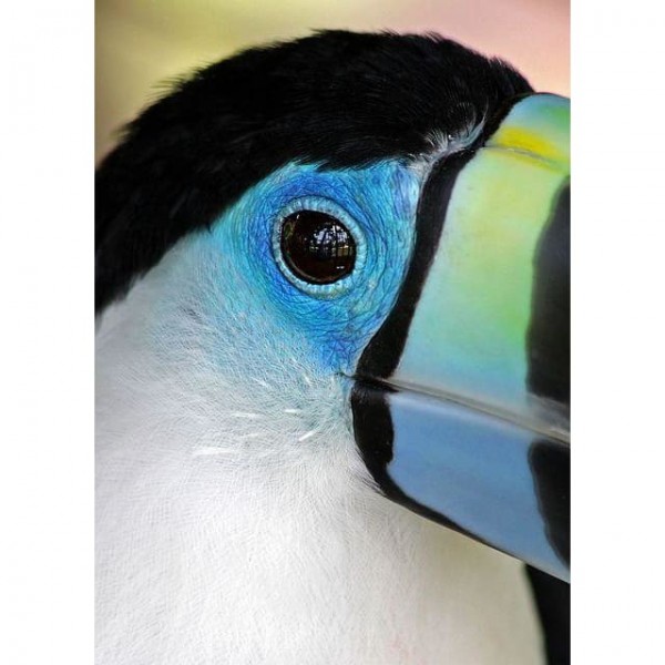 DIY Diamond Painting - Dieren PIX-2383