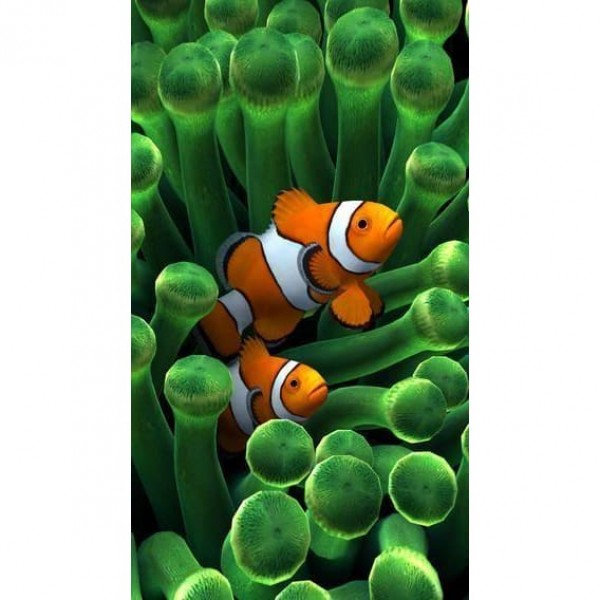 DIY Diamond Painting - Dieren PIX-2365