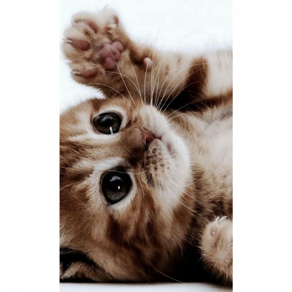 DIY Diamond Painting - Dieren PIX-2344