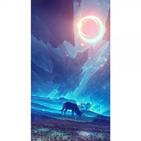 DIY Diamant Schilderij - Fantasie PIX-1940