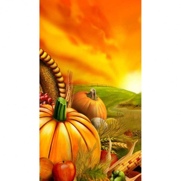 DIY diamant schilderij - Thanksgiving Day & Halloween PIX-3272