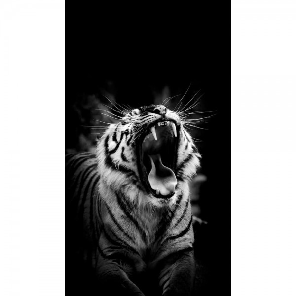 DIY Diamond Painting - Dieren PIX-2469