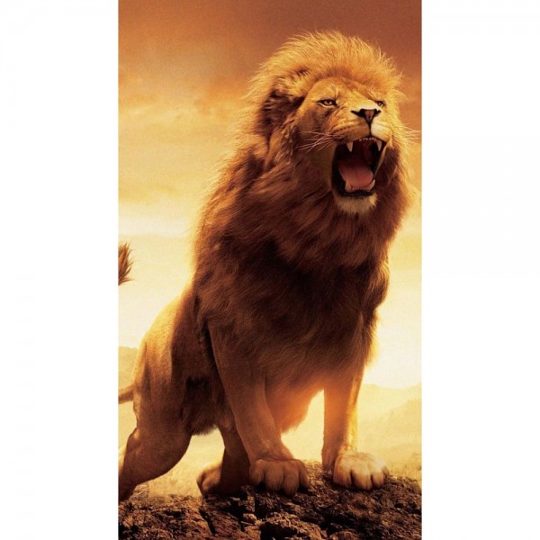 DIY Diamond Painting - Dieren PIX-2493