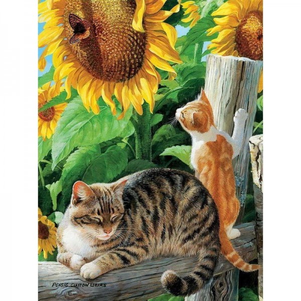 DIY Diamond Painting - Dieren PIX-2456