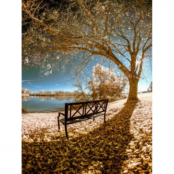 DIY diamant schilderij - Thanksgiving Day & Halloween PIX-3373