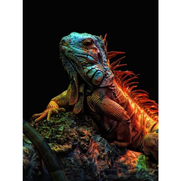 DIY Diamond Painting - Dieren PIX-2343