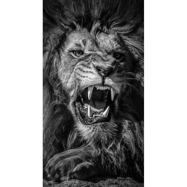 DIY Diamond Painting - Dieren PIX-2317