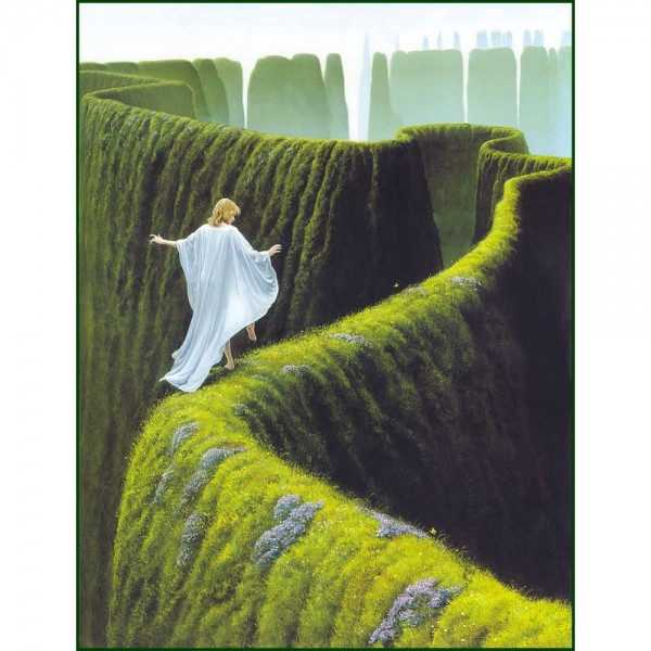 DIY Diamant Schilderij - Fantasie PIX-2044