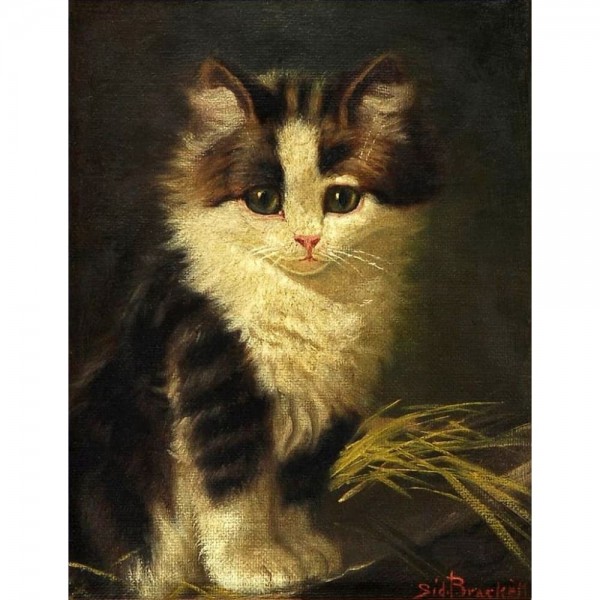 DIY Diamond Painting - Dieren PIX-2454