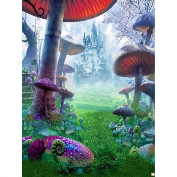 DIY Diamant Schilderij - Fantasie PIX-1855