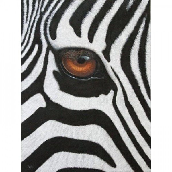 DIY Diamond Painting - Dieren PIX-2507