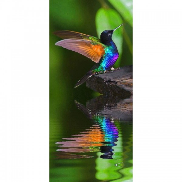 DIY Diamond Painting - Dieren PIX-2286