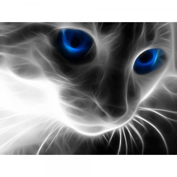 DIY Diamond Painting - Kat PIX-1376