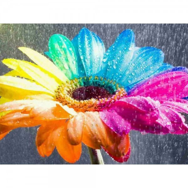 DIY Diamond Painting - Regenboogbloemen PIX-763