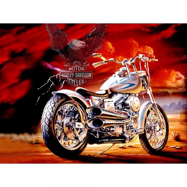 DIY diamant schilderij - Harley Eagle vlucht PIX-558