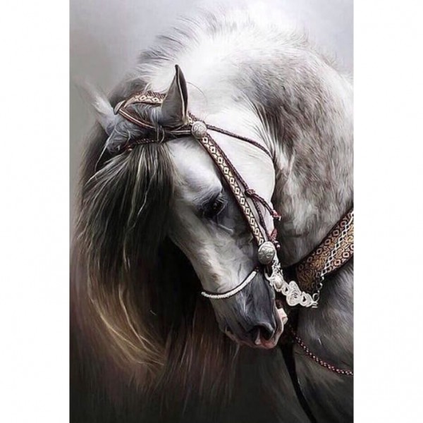 DIY diamant schilderij - paard PIX-92