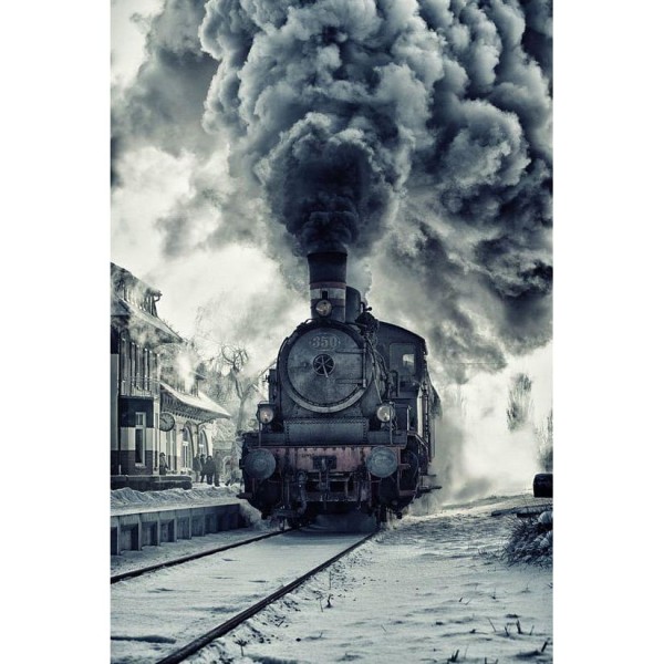 DIY Diamond Painting - Landschapstrein PIX-619