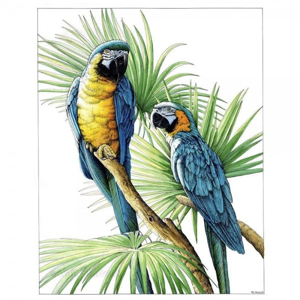 DIY diamant schilderij - Dieren PIX-2476