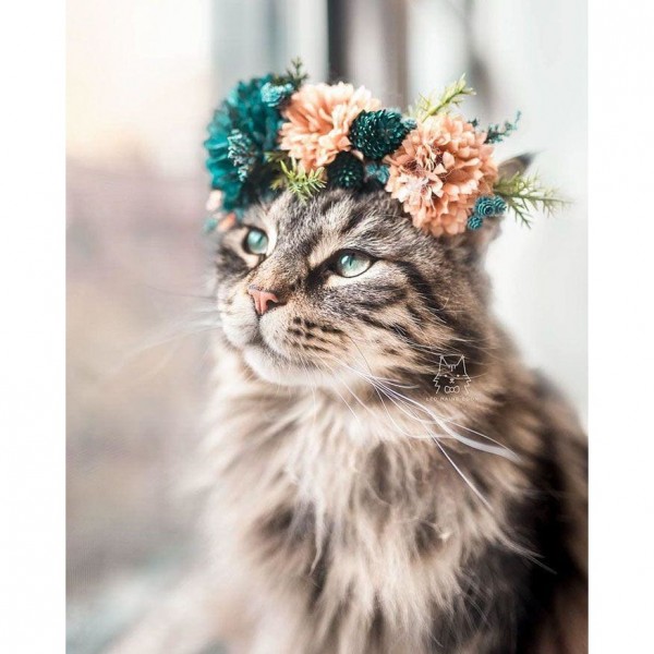 DIY Diamond Painting - Dieren PIX-2427