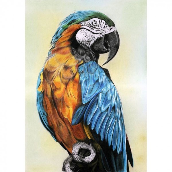 DIY Diamond Painting - Dieren PIX-2314