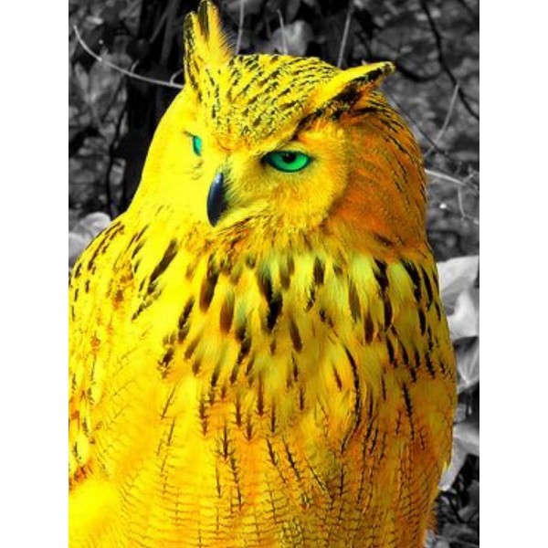 DIY Diamond Painting - Dieren PIX-2488