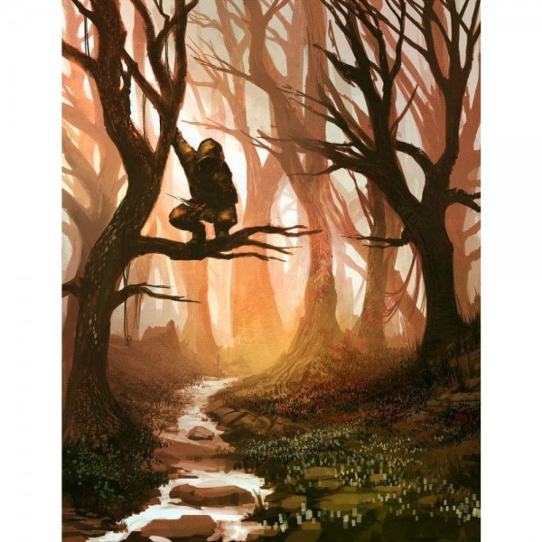 DIY Diamant Schilderij - Fantasie PIX-2021